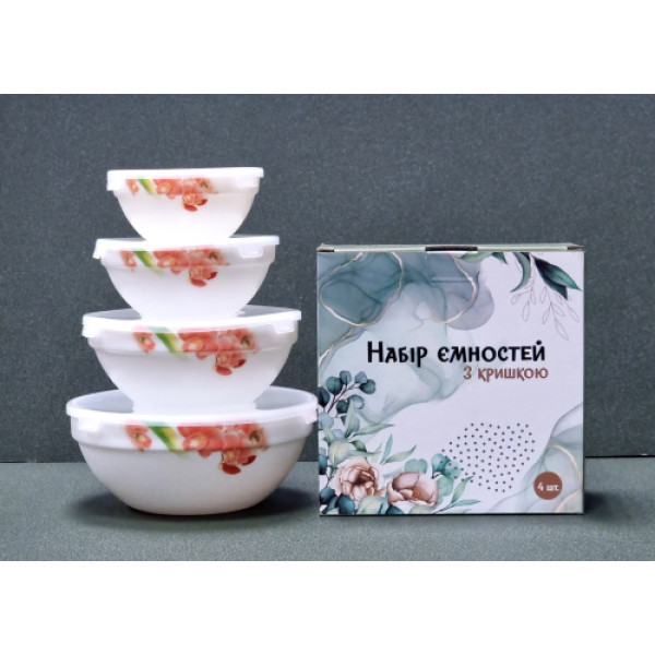 30054-1307 Набір ємностей  з кришкою 4 шт (7'-1л,6'- 600мл,5'-320мл, 4,2'-260мл') "Орхідея Ванда"