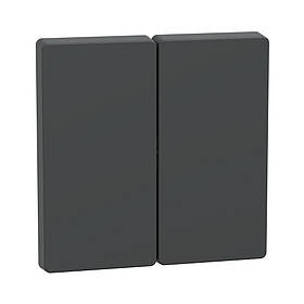 Клавіша 2-клавішних вимикачів Schneider Merten D-life антрацит MTN3400-6034