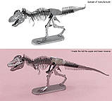 3D-пазл металевий Тиранозавр Рекс. Тирекс, фото 6