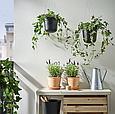 Підвісний горщик PARLRONN IKEA 705.822.50, фото 4