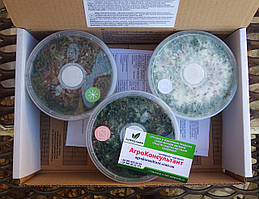 Набір міцелій гриба Триходерми (Конінги, Віріде, Харціанум), 3 шт по 500 г набор тріходерми