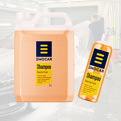 Шампуні для ручного миття