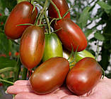 Насіння томату Чорний ворон F1 10 шт, фото 6