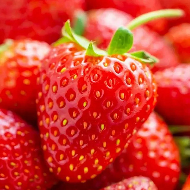 Полуниця (розсада) Лорд - середньо-пізня, ароматна, високоврожайна, фото 1