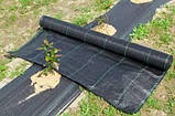 Агротканина П-100 (3,4*25м) - чорна 100 г/м²  ( GARDEN FLORA (Польща)), фото 5