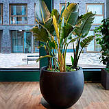 Бетонний вазон серія "Беллона" (Д41-64 см) для квітів та дерев, для вулиці, саду, дачі та тераси, фото 8