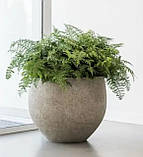 Горщик з бетону "Беллона" (Д41-64 см) кашпо вазон для квітів та дерев, для вулиці, саду, дачі та тераси, фото 5