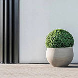 Бетонний вазон серія "Беллона" (Д41-64 см) для квітів та дерев, для вулиці, саду, дачі та тераси, фото 6