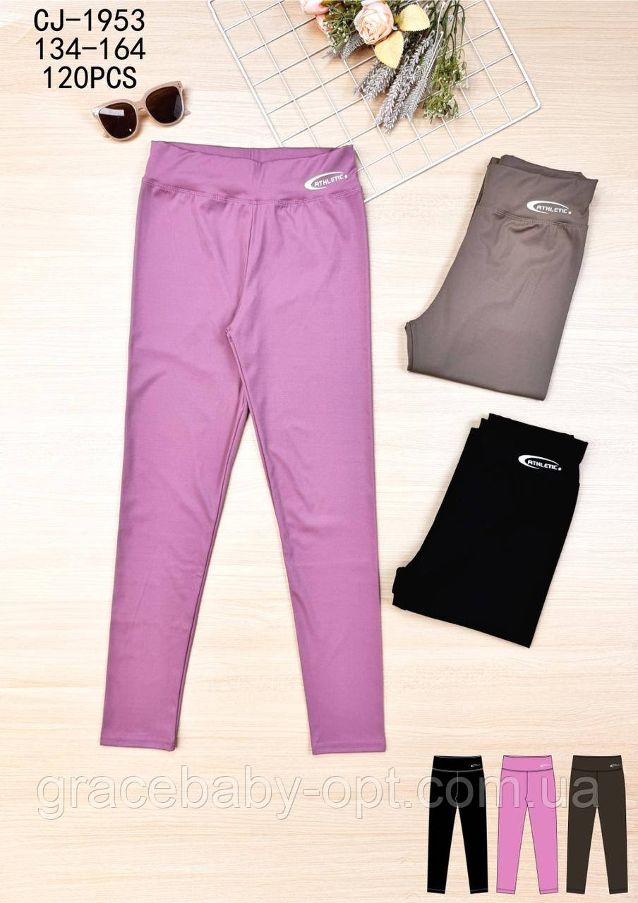 Лосини для дівчаток оптом, Sincere, 134-164 см, No CJ-1953, фото 1