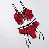 Комплект червоної жіночої білизни трусики, ліфчик, пояс з чорними підв'язками, фото 2