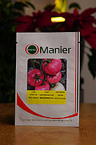 Насіння томату Монсеррат (Монсерат) F1 (Monserrat F1) Manier Seeds 1000, фото 4