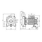 Насос поверхневий поливальний Pumpman TGA1C Hmax 15 м Qmax 30 куб.м 2" 750 Вт, фото 2