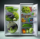 Поглинач запаху для холодильника, фото 4