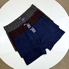 Чоловічі бамбукові труси боксери батали In.Vasall #1501