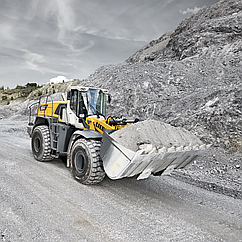 Оренда колісного фронтального навантажувача LIEBHERR L 564