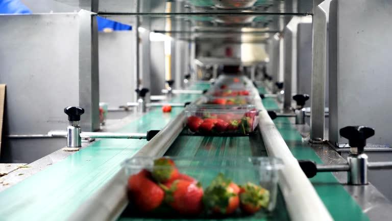 Транспортерні стрічки Habasit для транспортування пакувального обладнання