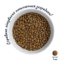 Сухий корм Home Food для кошенят з куркою 400 г, фото 4