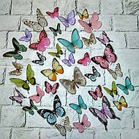 Метелики для декору на стіну 3D комплект 36 шт Різнокольорові SW-260-2
