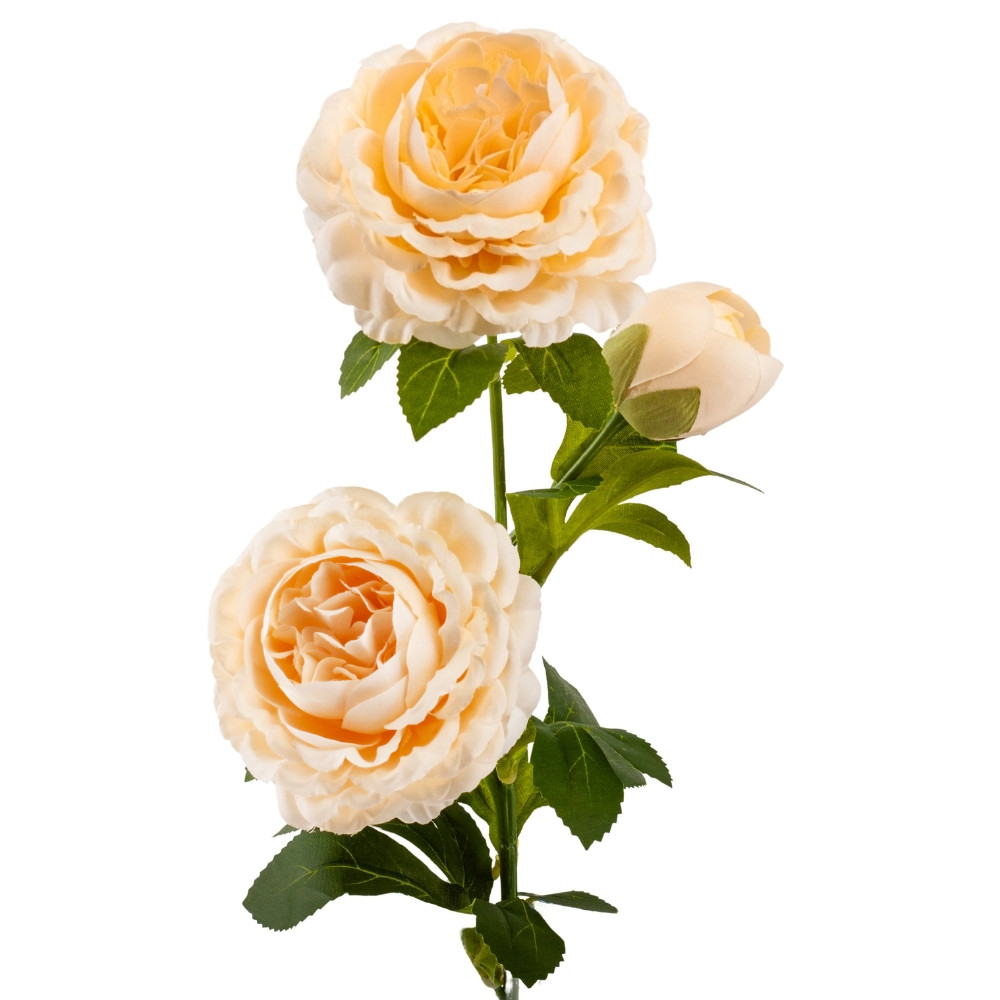 Штучна троянда півонієвидна "Грація" з 3 бутонами, кремова, 56 см ELISEY, фото 1