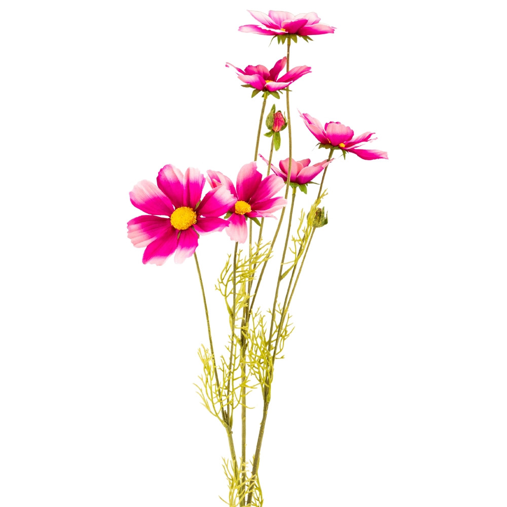 Космея фуксія, 90 см ELISEY, фото 1