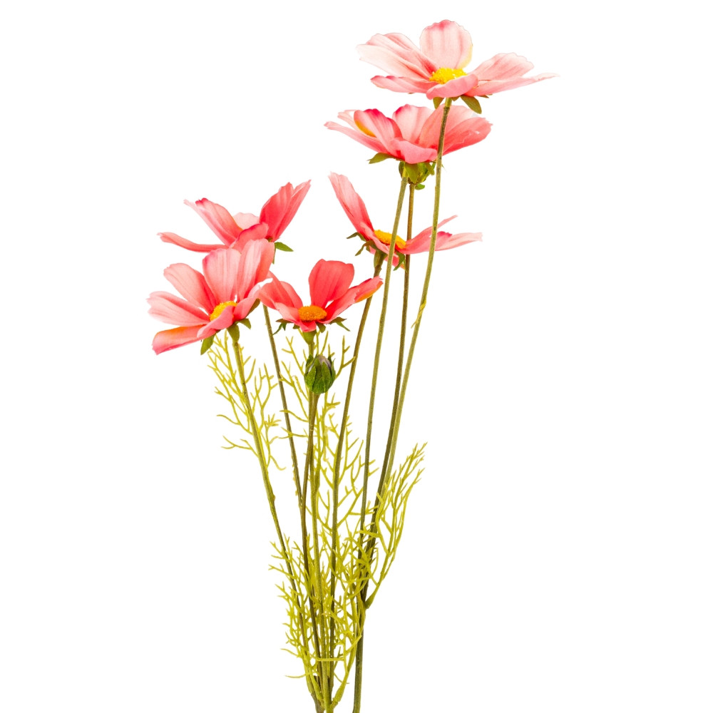 Космея рожева, 90 см ELISEY, фото 1