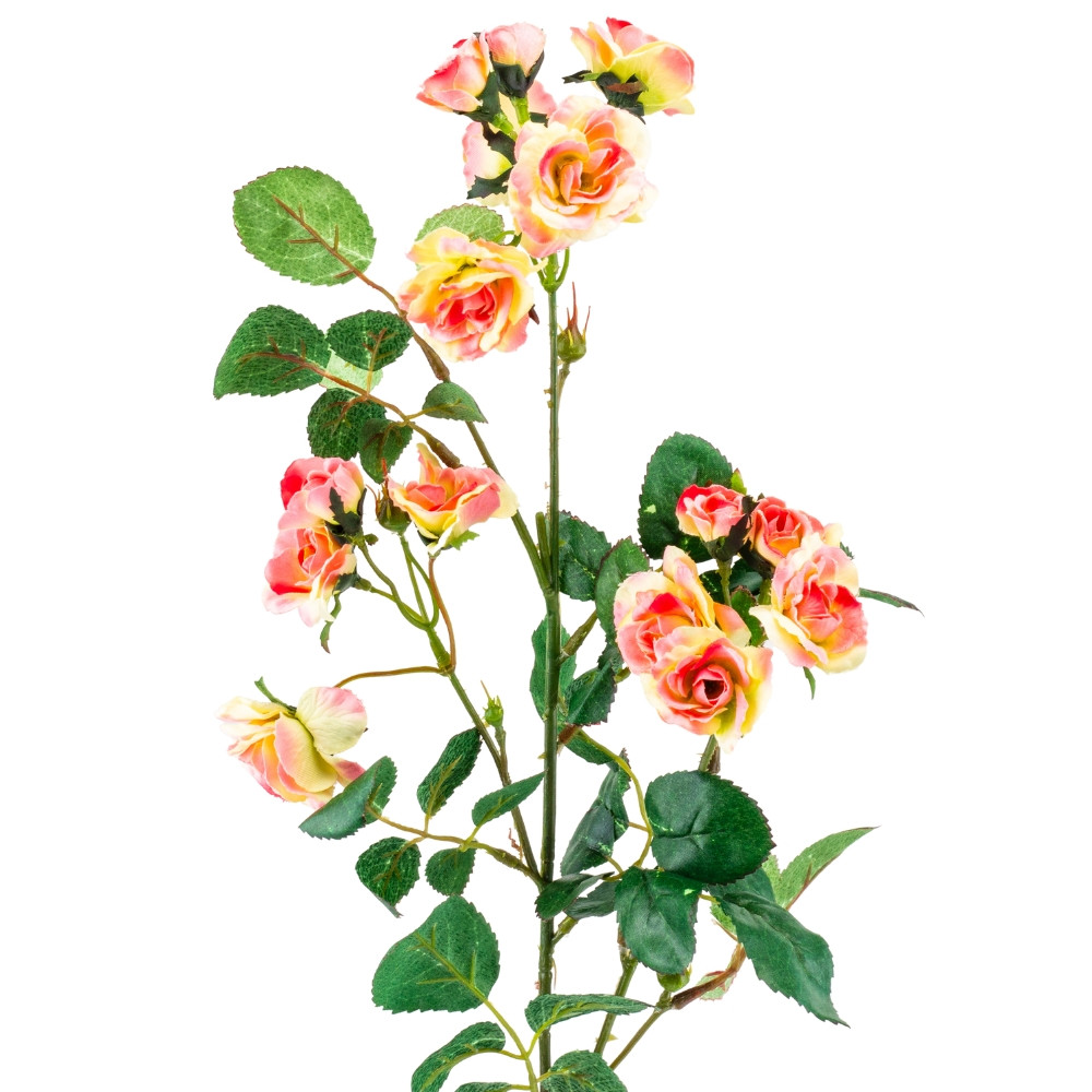 Камелія рожева, 75 см ELISEY, фото 1