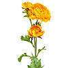 Ранункулюс жовтий, 73 см ELISEY, фото 2