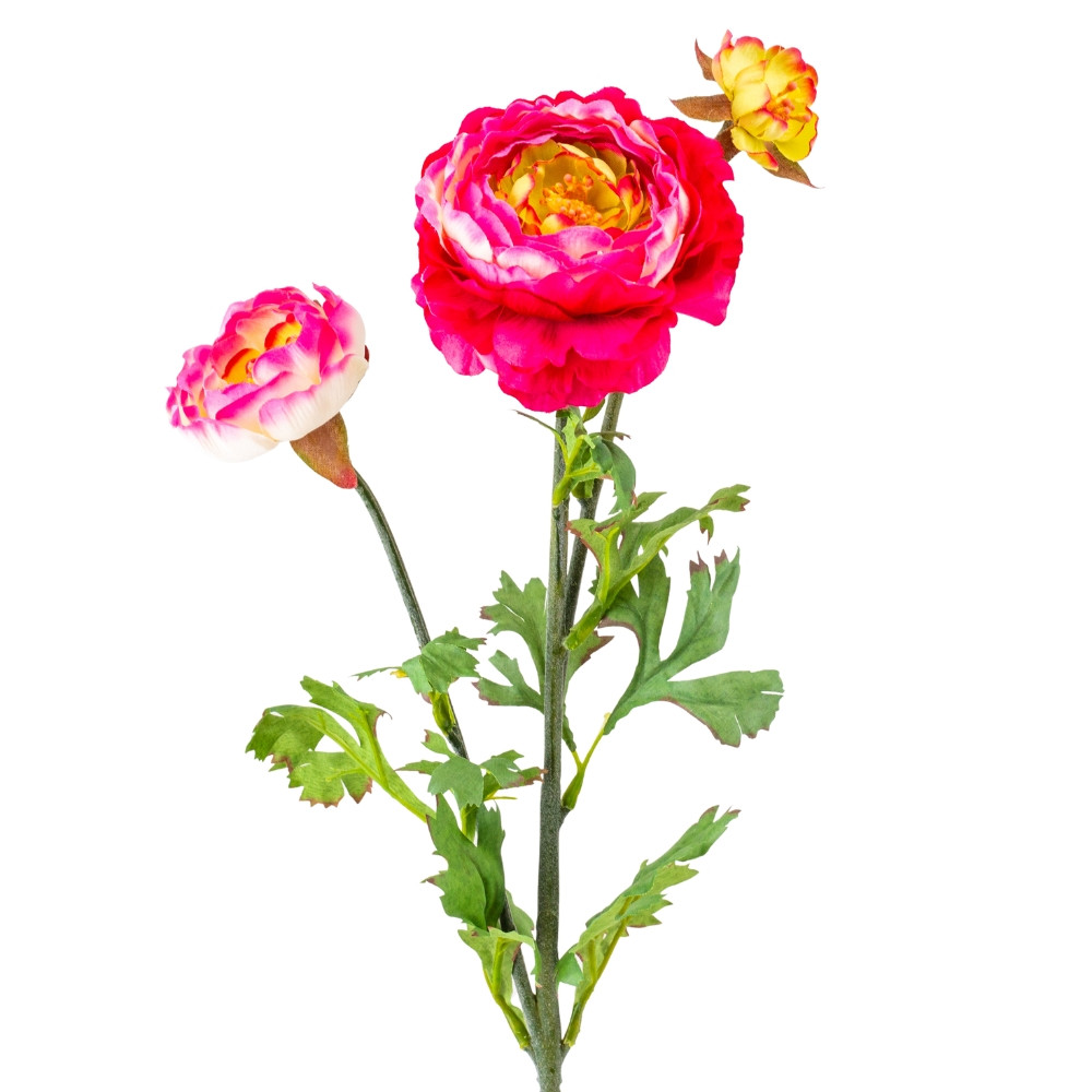 Ранункулюс червоний, 73 см ELISEY, фото 1