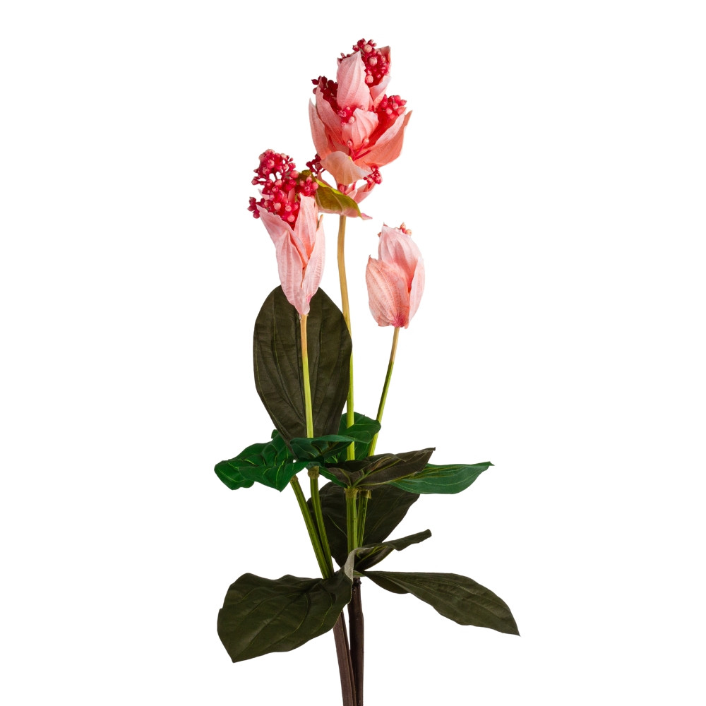 Медініла рожева, 120 см ELISEY, фото 1