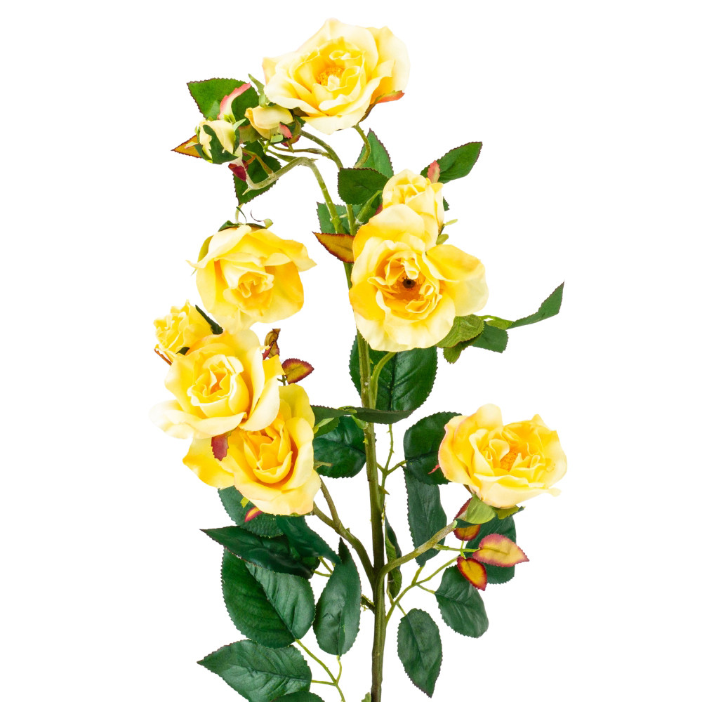 Камелія жовта, 75 см ELISEY, фото 1