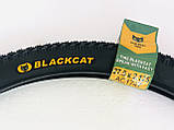Покришка 27.5×2.125 (57-584) BLACK CAT. (А1747).  Шина 27.5х2.125. Гума 27.5х2.125, фото 7