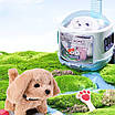 Інтерактивний ігровий набір для дитини собачка в переносці валізці вихованець ходить виляє хвостиком звук, фото 4