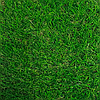 Штучна трава Green city LG Grass 20 мм 1 м Газон для балкона штучний Декоративна трава на патіо, фото 10