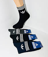 Шкарпетки чоловічі 12 пар демісезонні спортивні середні з бавовни Adidas розмір 41-44 темний мікс кольорів