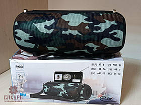 Блутуз колонка Elta BT-17cm