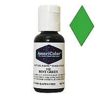 Гелевий барвник AmeriColor Зелена м'ята (112) 21 г