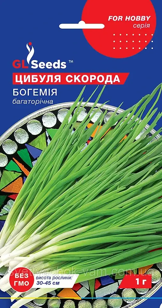 Цибуля шнітт Богемія сорт невибаглива багаторічна рослина росте до 6 років на одному місці, пакування 1 г