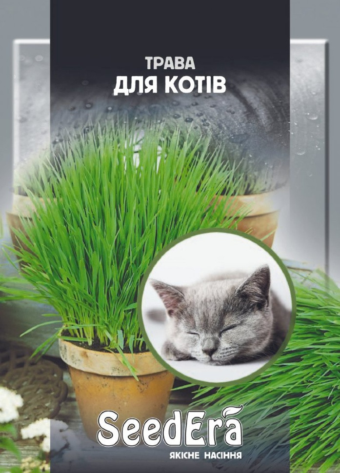 ТРАВА ДЛЯ КОТІВ 30 г Seedеra, фото 1