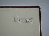 Перців В. Маяковський. Життя і творчість після Великої Жовтогарячої Соціалістичної революції (б/у)., фото 9