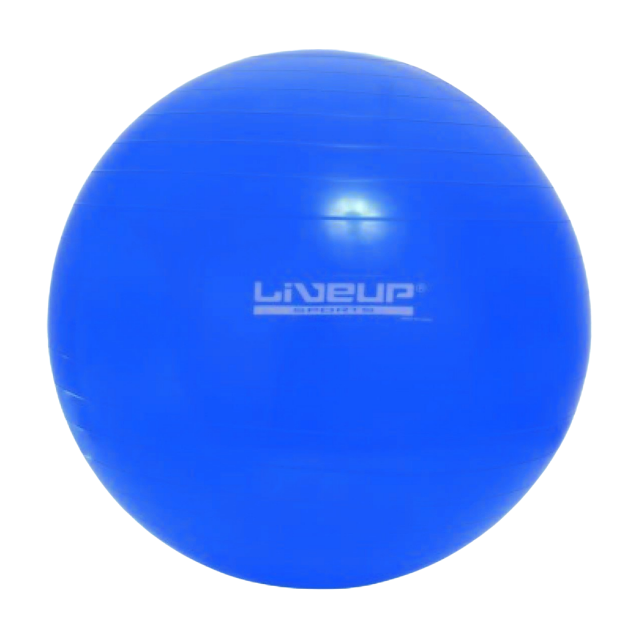 Фітбол LiveUp GYM BALL, фото 1