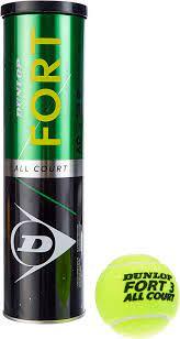 М'ячі для тенісу Dunlop Fort TS 4B