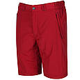 Шорті Regatta Leesville Short, фото 3