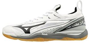 Кросівки MIZUNO WAVE MIRAGE 2.1