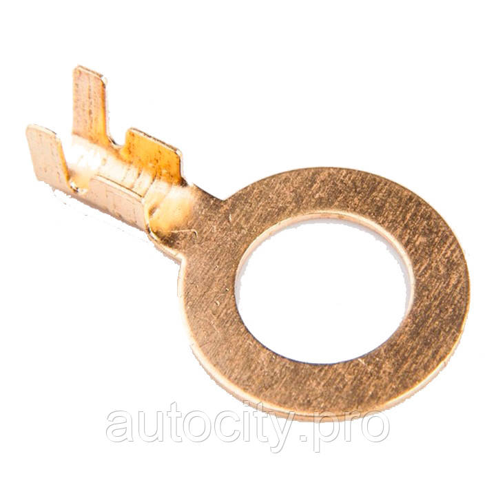 Клема кільцева 10 діаметр (1 шт.), фото 1