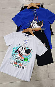 Набір-двійка для хлопчиків оптом, Grace, 116-146 рр., арт. B14489