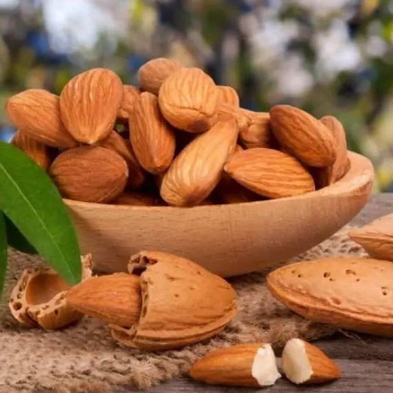 Мигдаль Делон - врожайний, дводомний, великий, фото 1