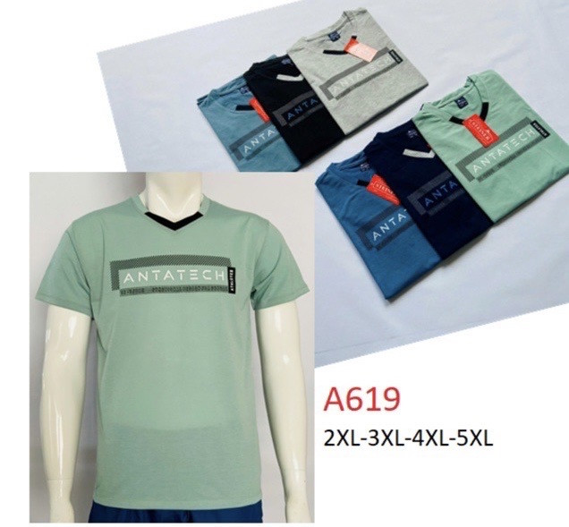 Футболка чоловіча трикотаж  48-56  5 шт, фото 1