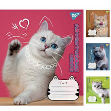 Зошит 24 лінія арт766656 Adventurous cats Yes (20 шт в упаковці)