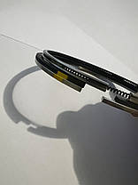 Поршневі кільця Д 260 Кома Buzuluk, фото 5