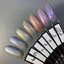 Гель-лак котяче око сага шовкова кішка SAGA Silk Cat №01 10 мл, фото 2